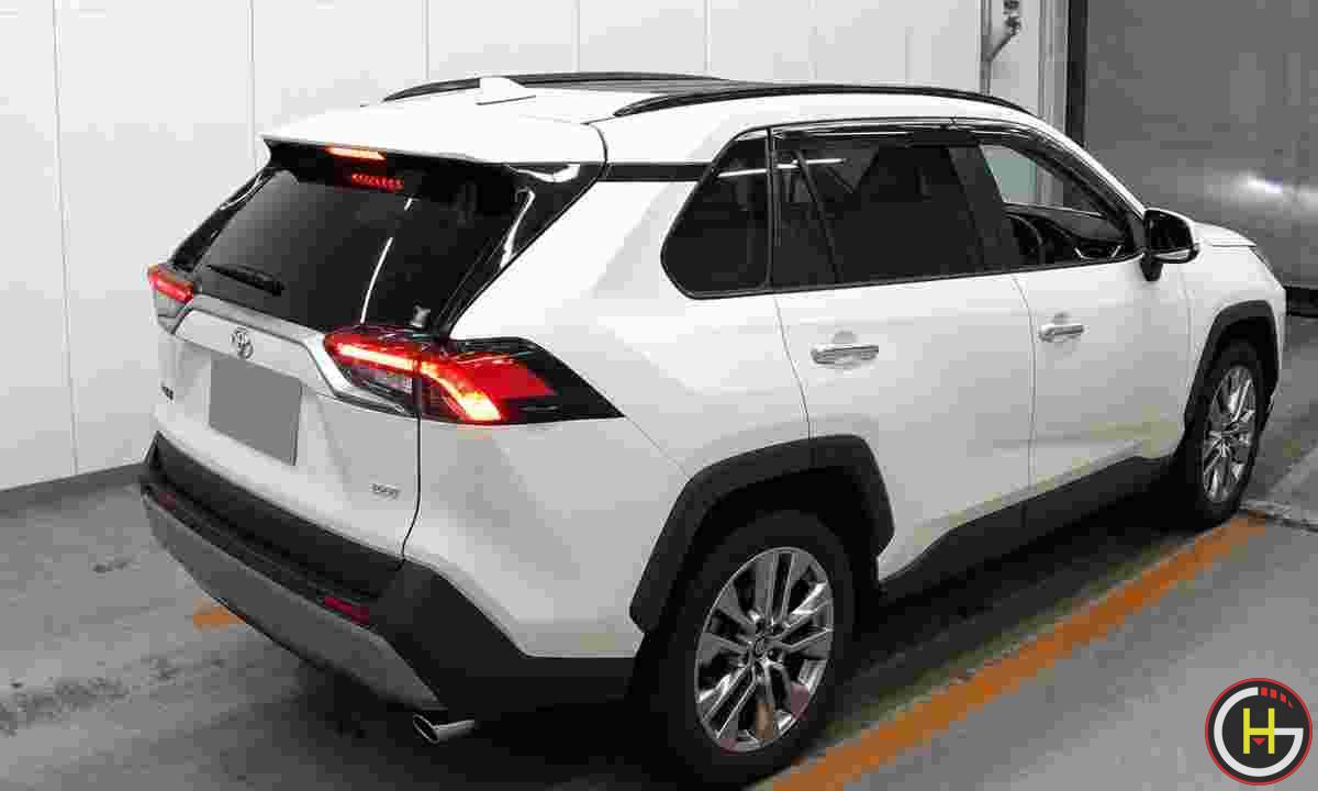 rav43.png